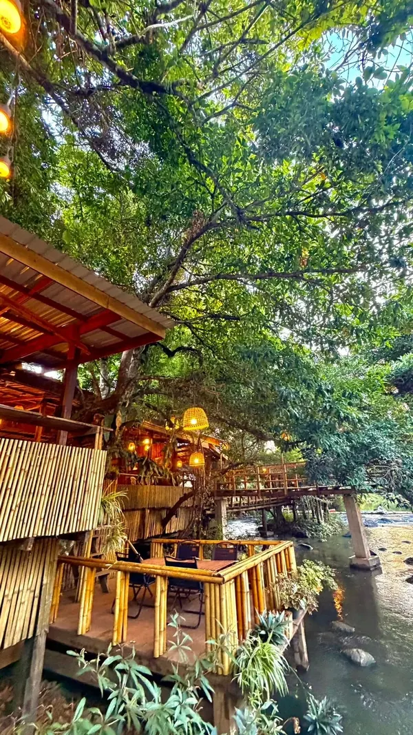 ລະບຽງໄມ້ໄຜ່ແຄມຫ້ວຍຂອງຮ້ານອາຫານ ໃຕ້ຮົ່ມໄມ້ໃຫຍ່