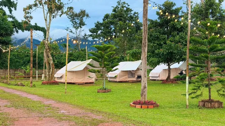 ແຖວເຕັນກາງເດີ່ນໃຕ້ໄຟປະດັບ ວິວພູບໍລະເວນ