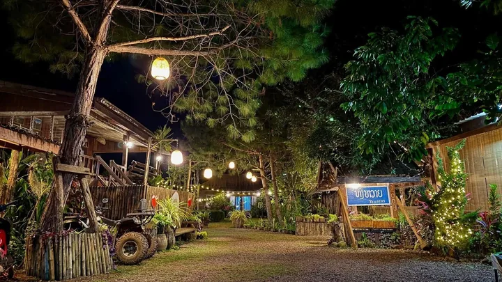 ທາງຍ່າງໃນຣີສອດຕອນຄໍ່າ ໂຄມໄຟເທິງຕົ້ນໄມ້